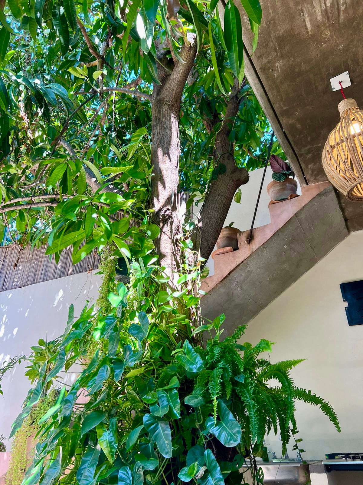 Charming House with Pool, Mango Tree & Sea Views, 3 Minutes from the Beach close to La Punta