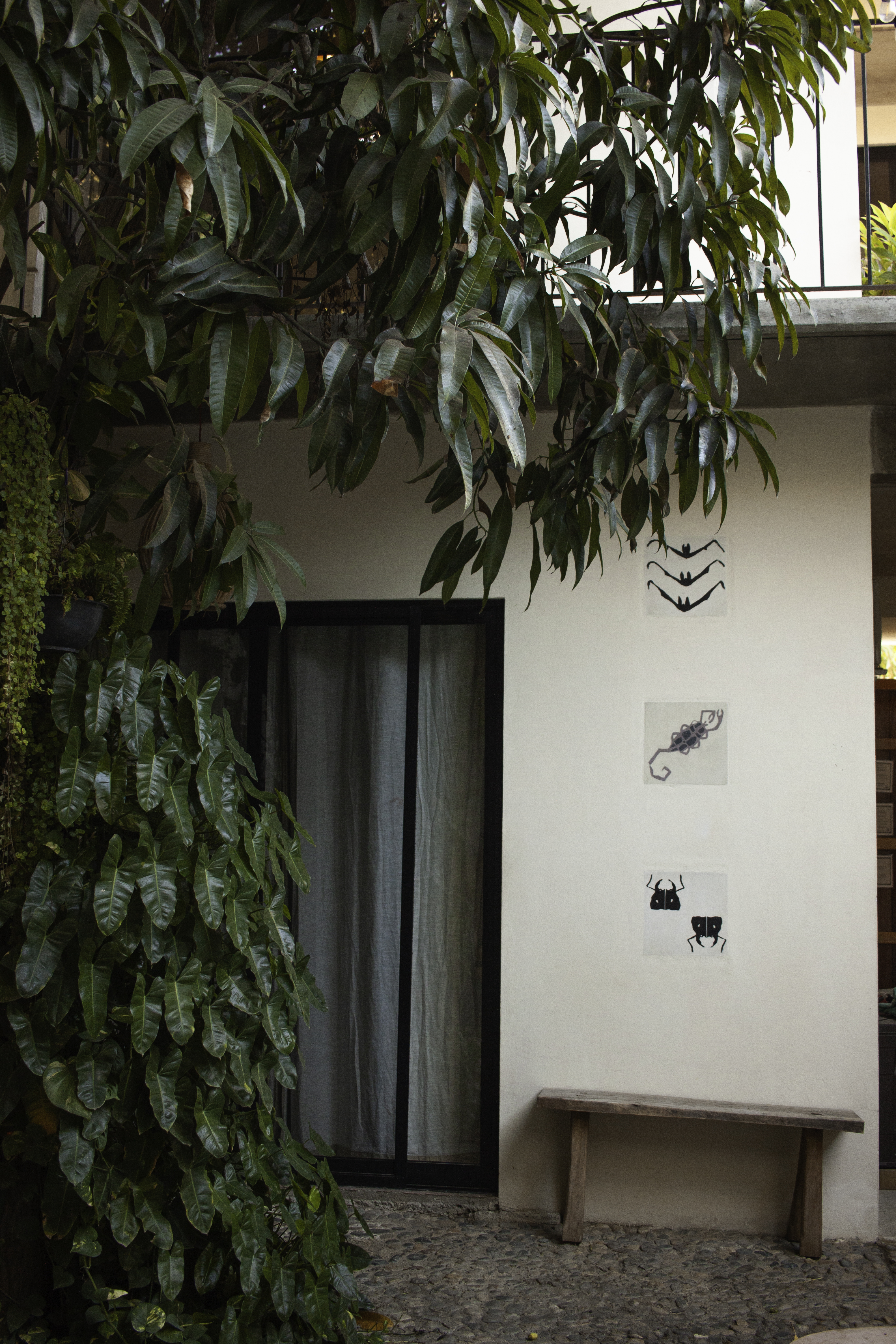 Charming House with Pool, Mango Tree & Sea Views, 3 Minutes from the Beach close to La Punta