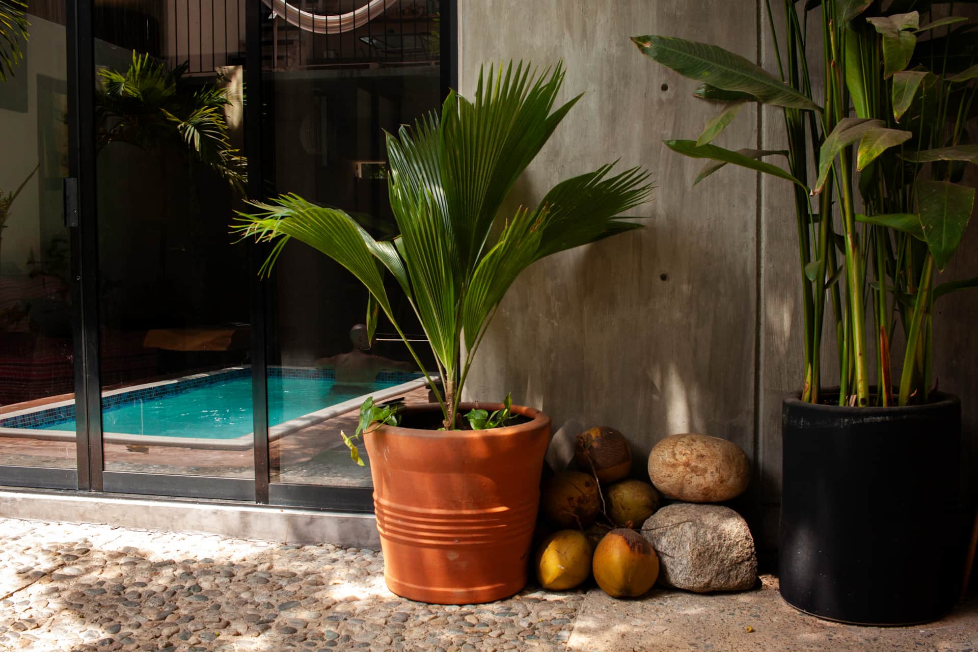 Charming House with Pool, Mango Tree & Sea Views, 3 Minutes from the Beach close to La Punta